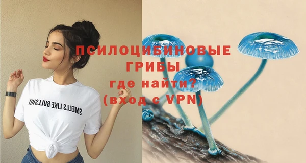 СК Алзамай