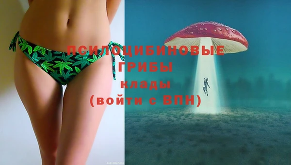 молекула духа Абинск