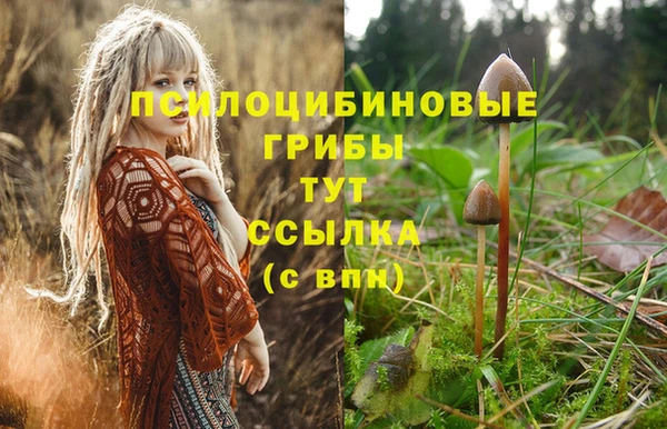 молекула духа Абинск