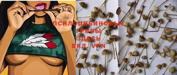 прущая мука Алексеевка