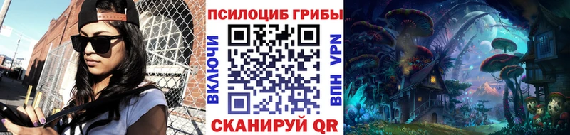 ссылка на мегу сайт  Черемхово  Галлюциногенные грибы прущие грибы 